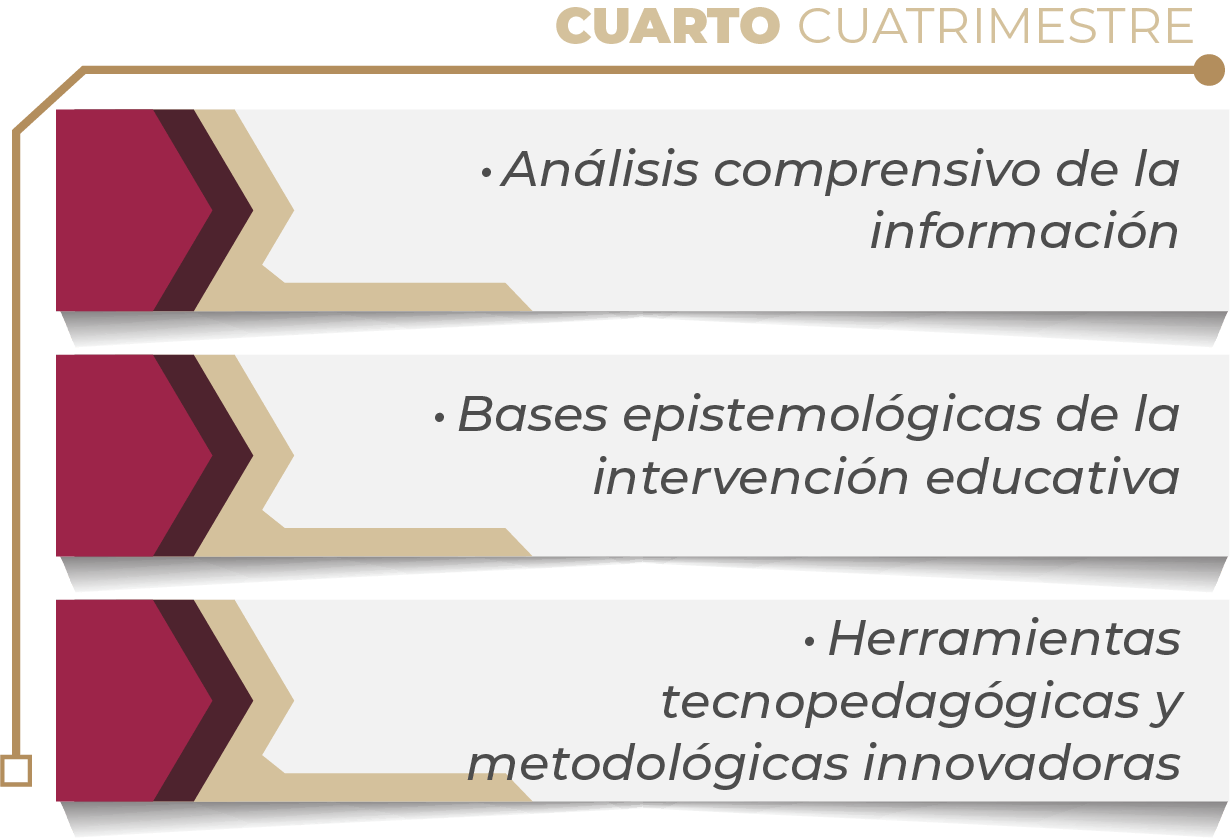 MAPA CURRICULAR GESTIÓN